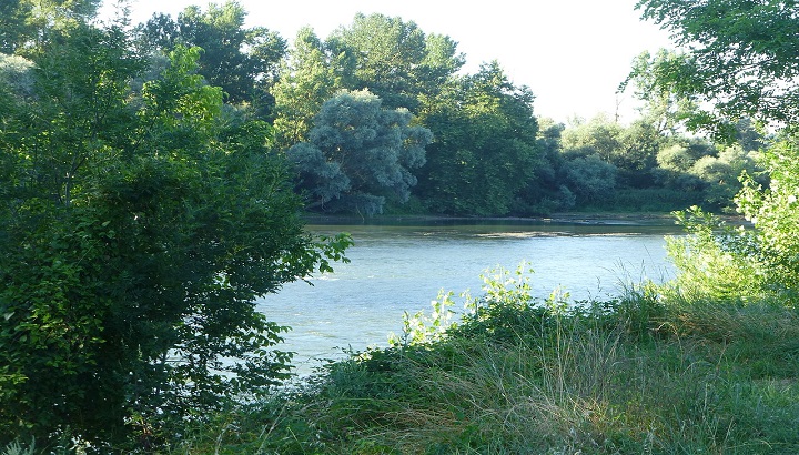 Les journées mondiales des zones humides dans le Tarn-et-Garonne
